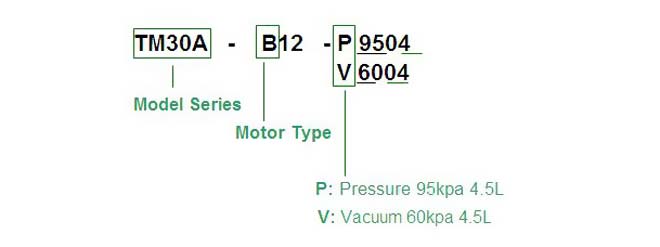 tm30a-b-model-code